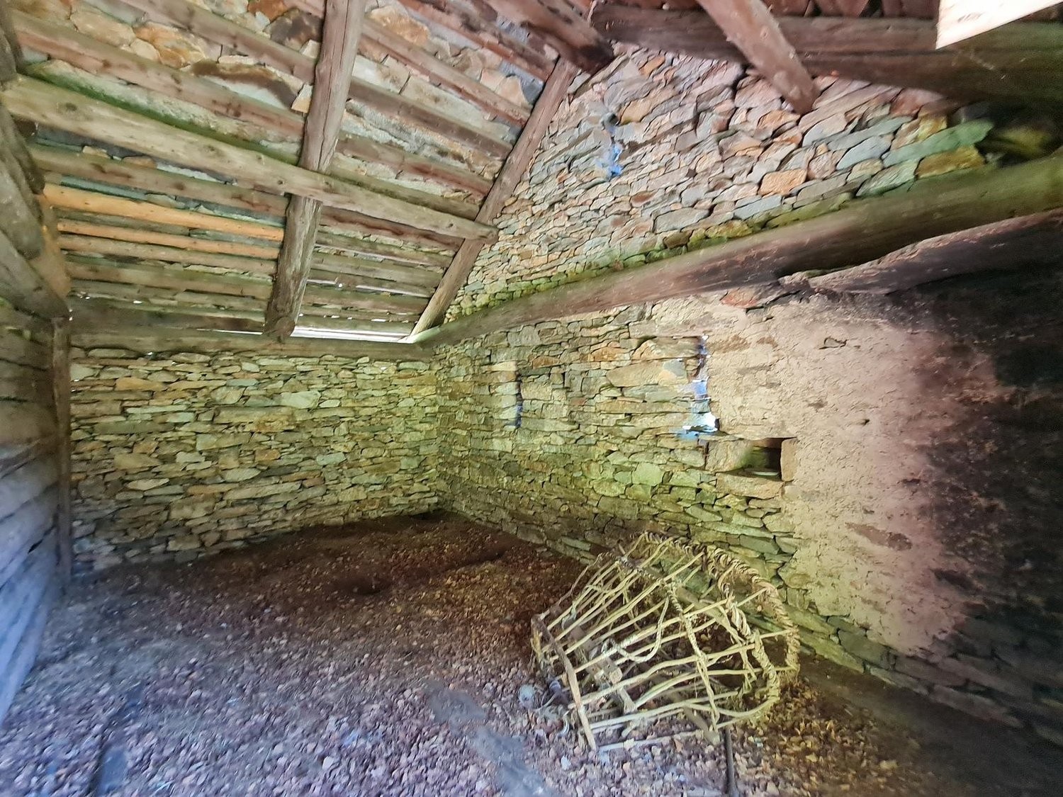 3 Zimmer Einfamilienhaus