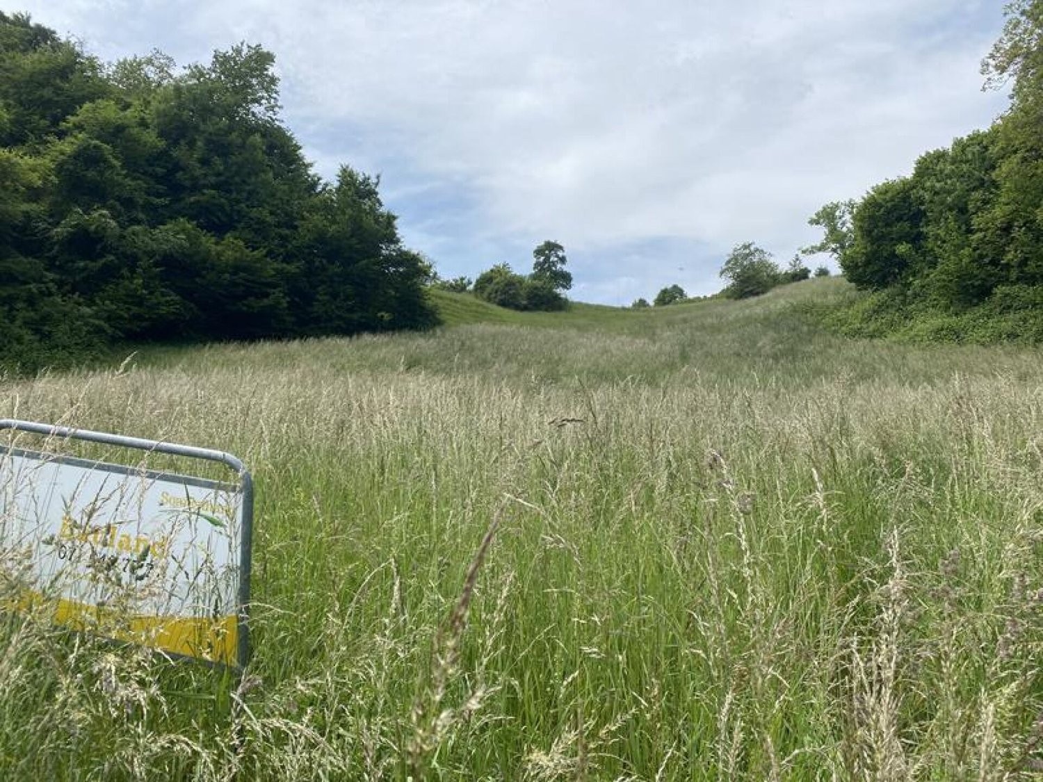 1958m² building land