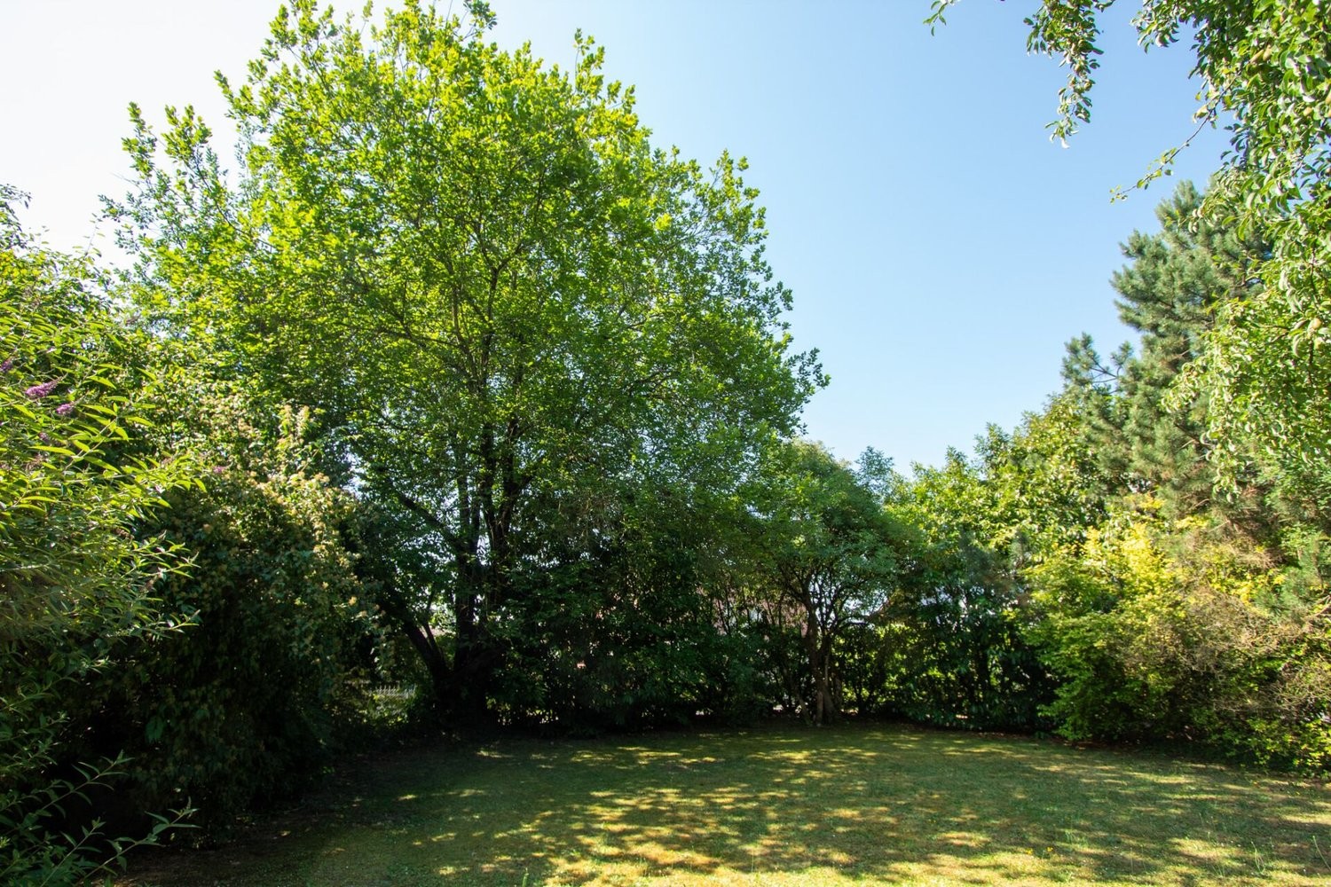 6 ½ rooms single house