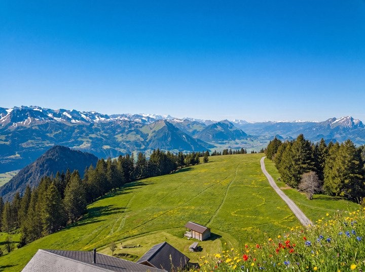 10033m² building land