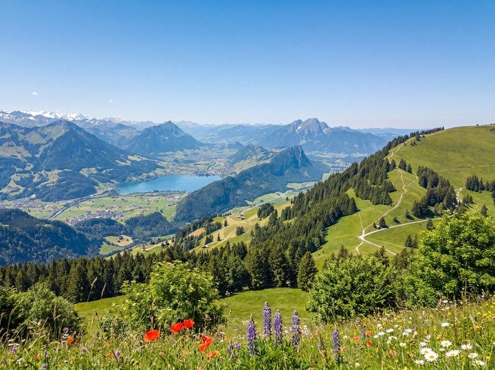 10033m² building land