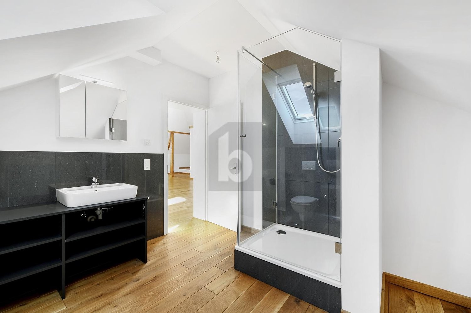 11 rooms multi family house