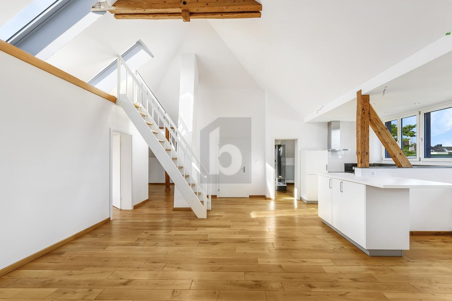 11 rooms multi family house