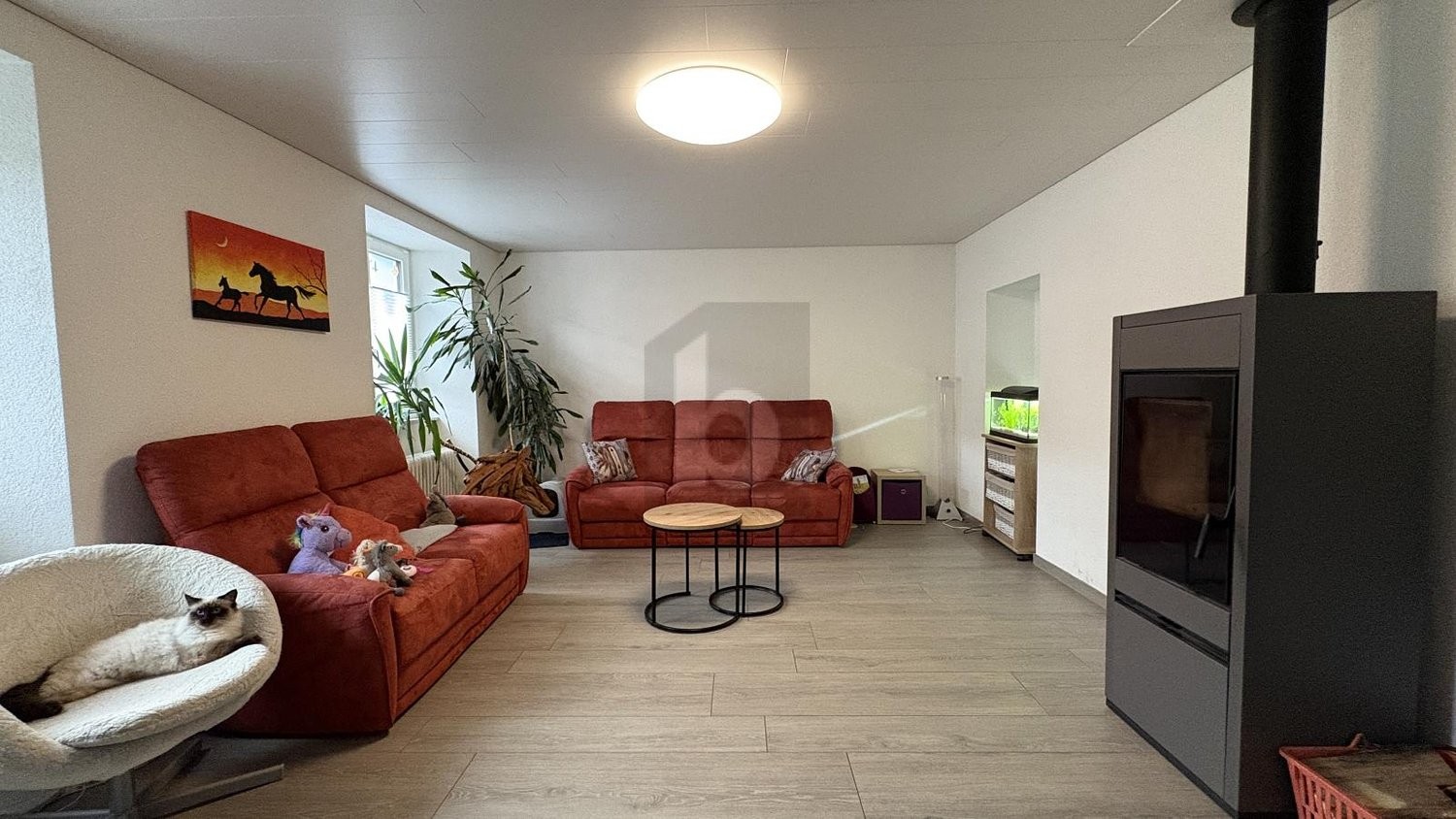6 ½ Zimmer Einfamilienhaus