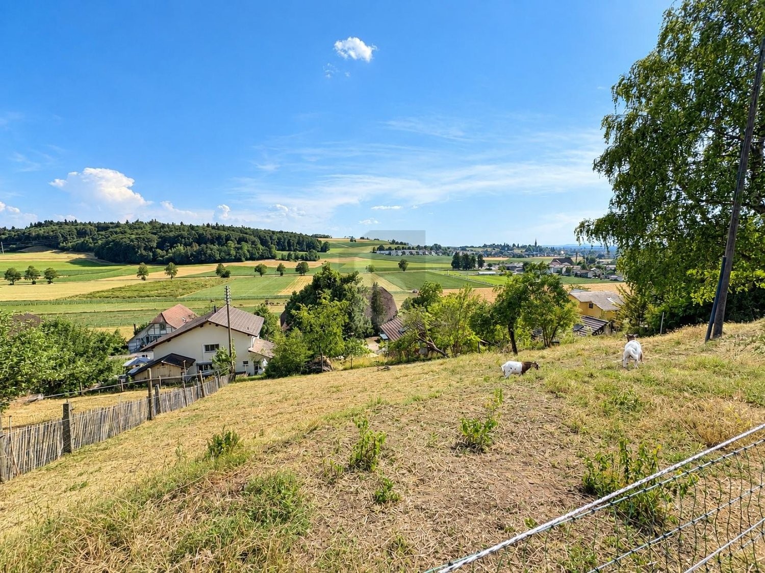 659m² building land, Foto 2 von 3