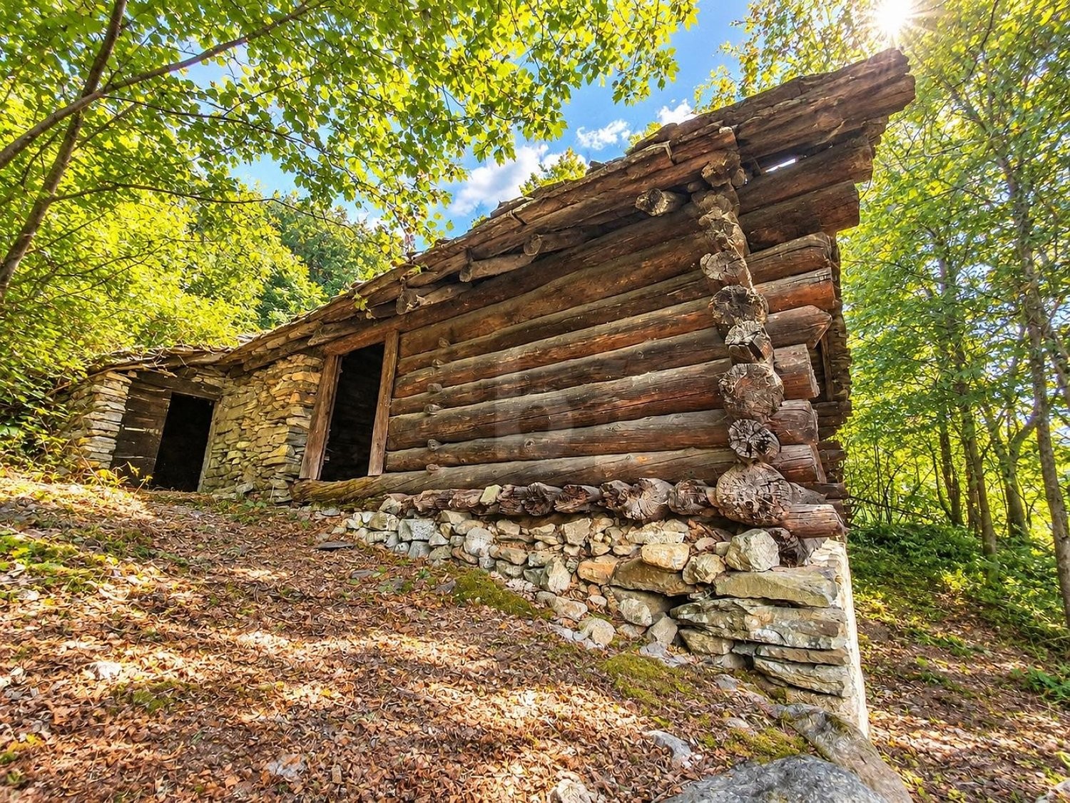 2-Zimmer-Chalet, Foto 4 von 4