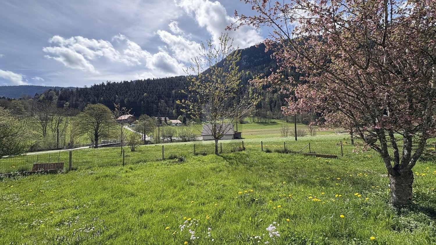 10 Zimmer Einfamilienhaus