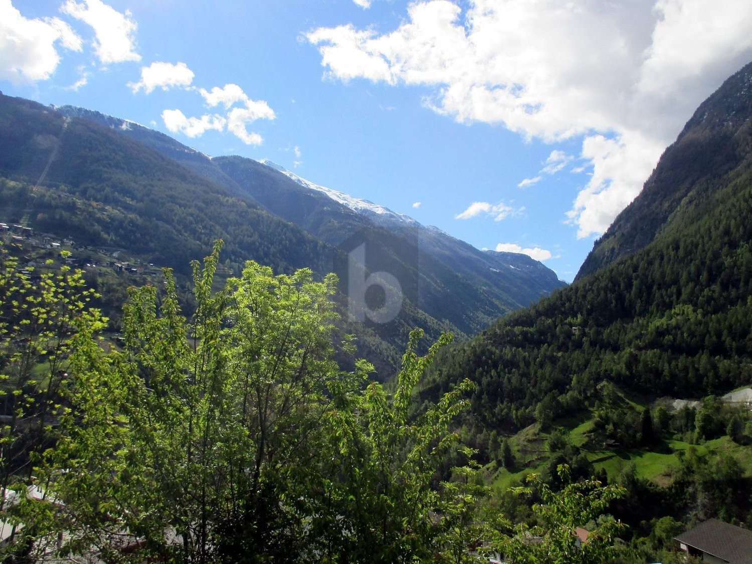 3035m² terrain à bâtir, photo 2 sur 4