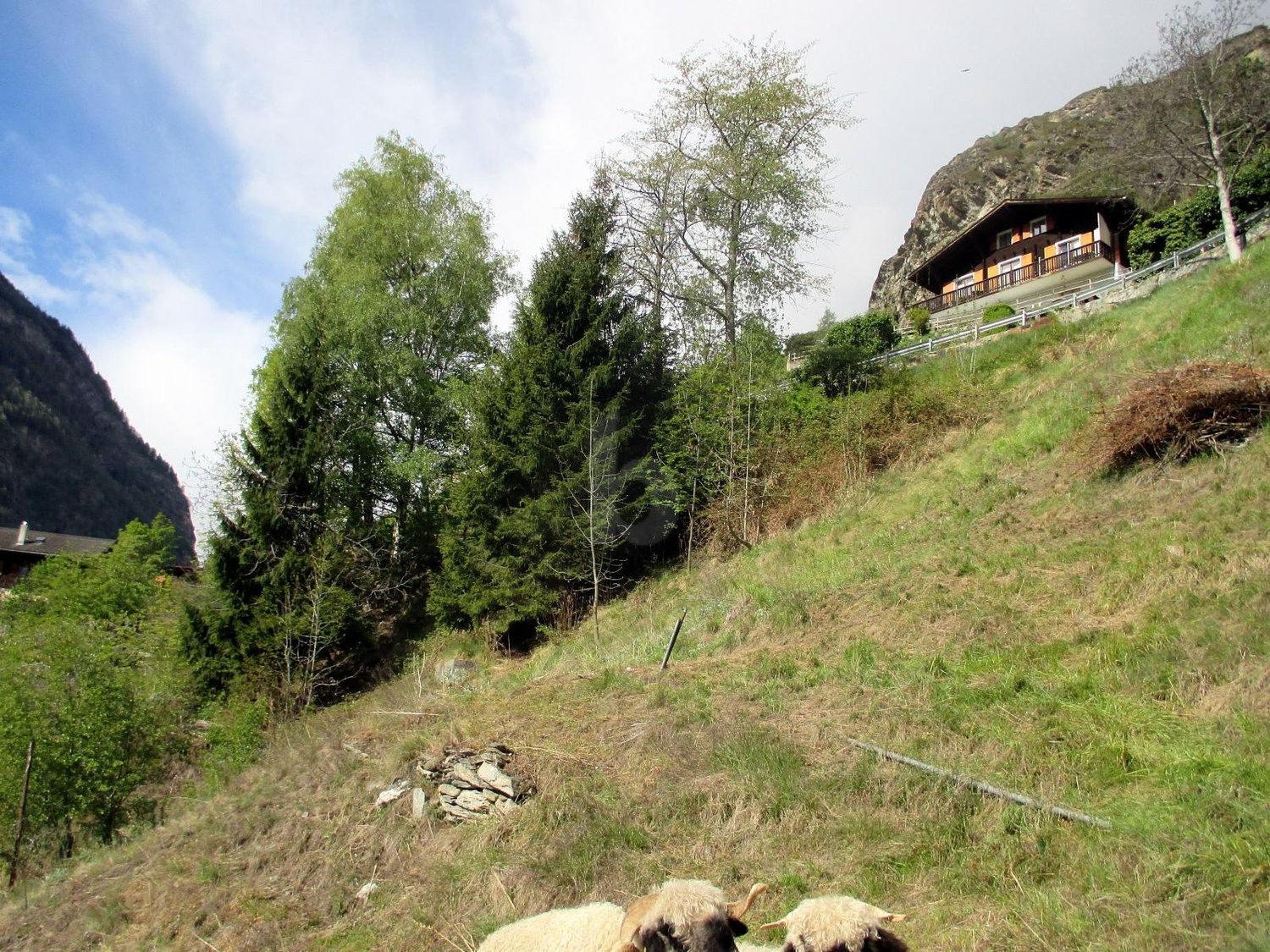 3035m² terrain à bâtir, photo 3 sur 4