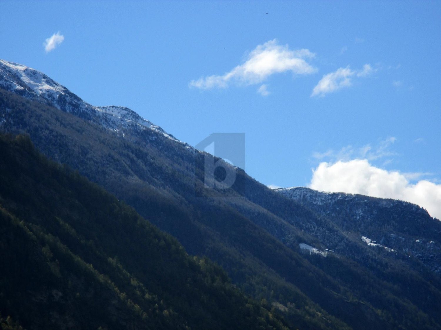 3035m² terrain à bâtir, photo 1 sur 4