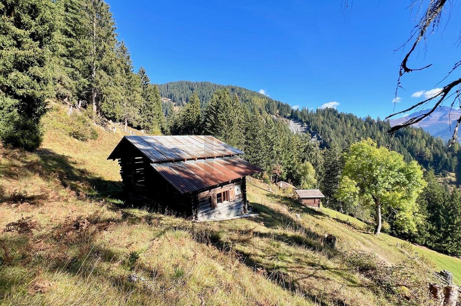 1 room chalet