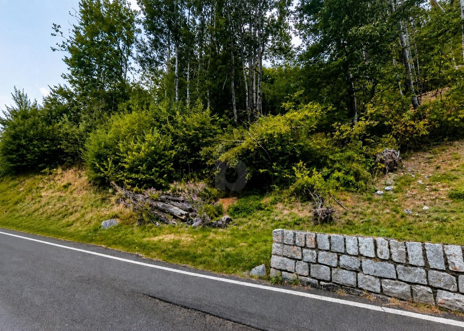 1091m² Bauland, Foto 1 von 2