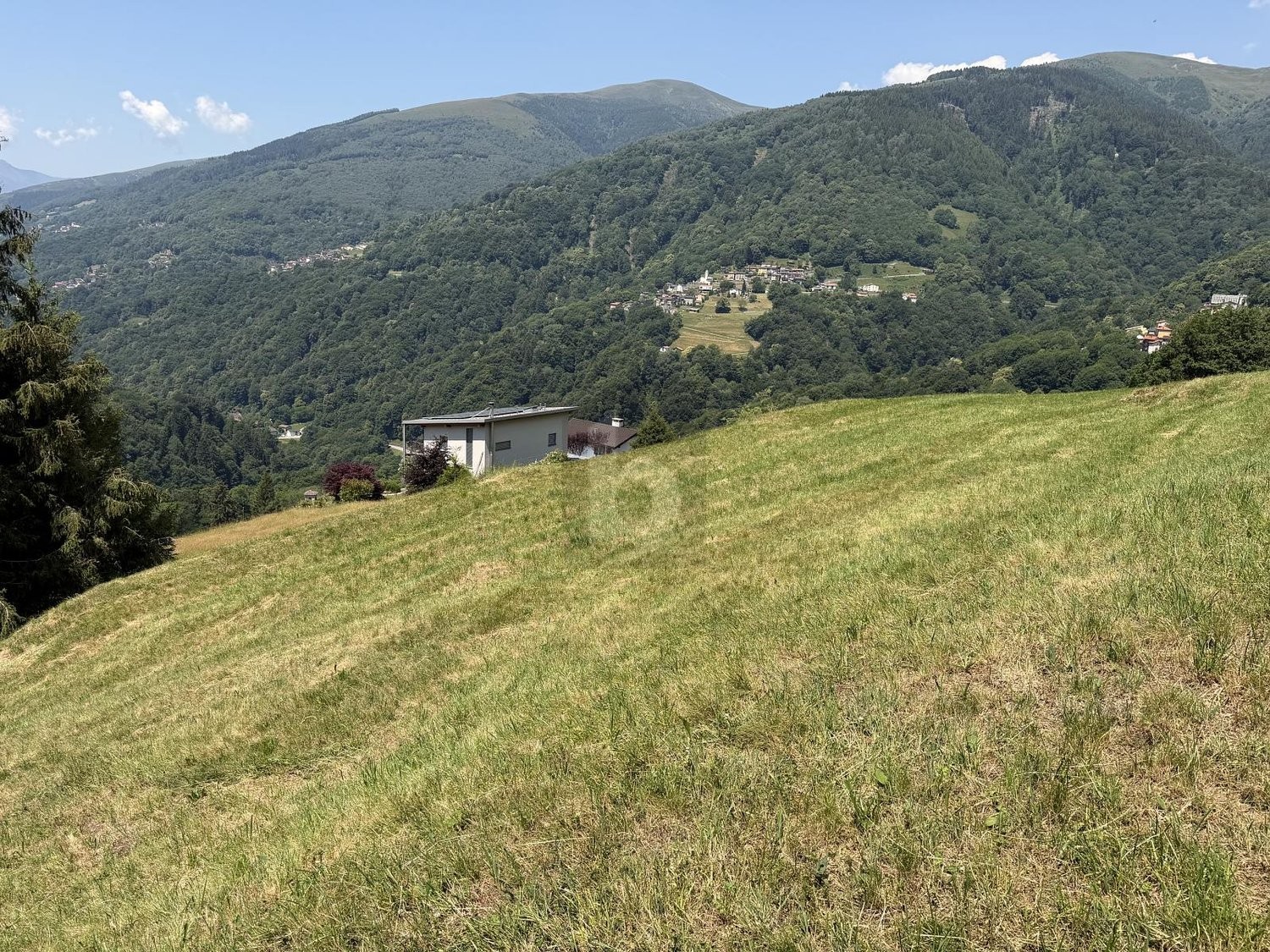 1205m² Bauland
