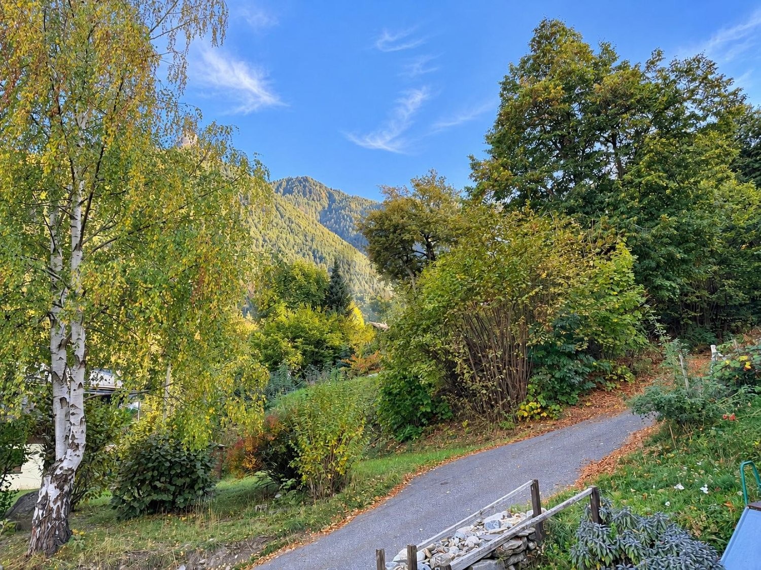 2-Zimmer-Chalet, Foto 3 von 4