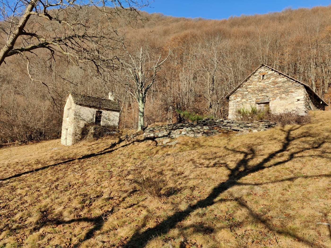 2 Zimmer Einfamilienhaus