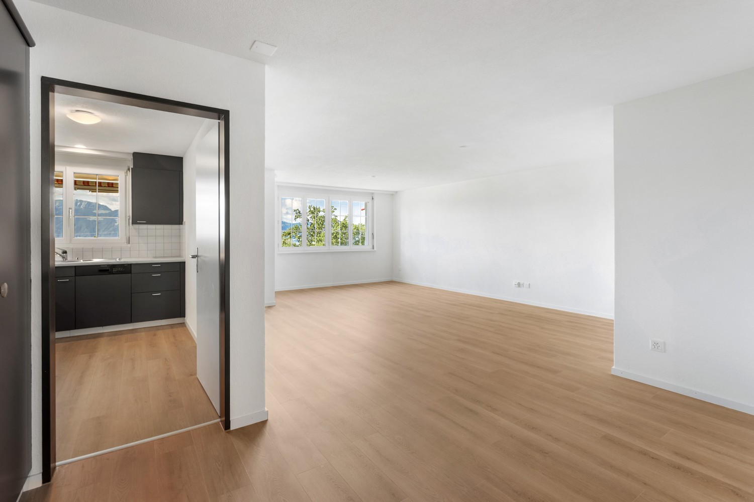 4 ½ rooms apartment