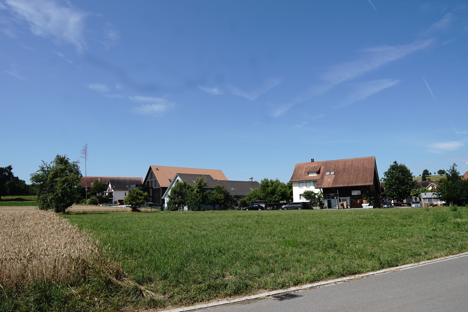2580m² building land, Foto 5 von 6