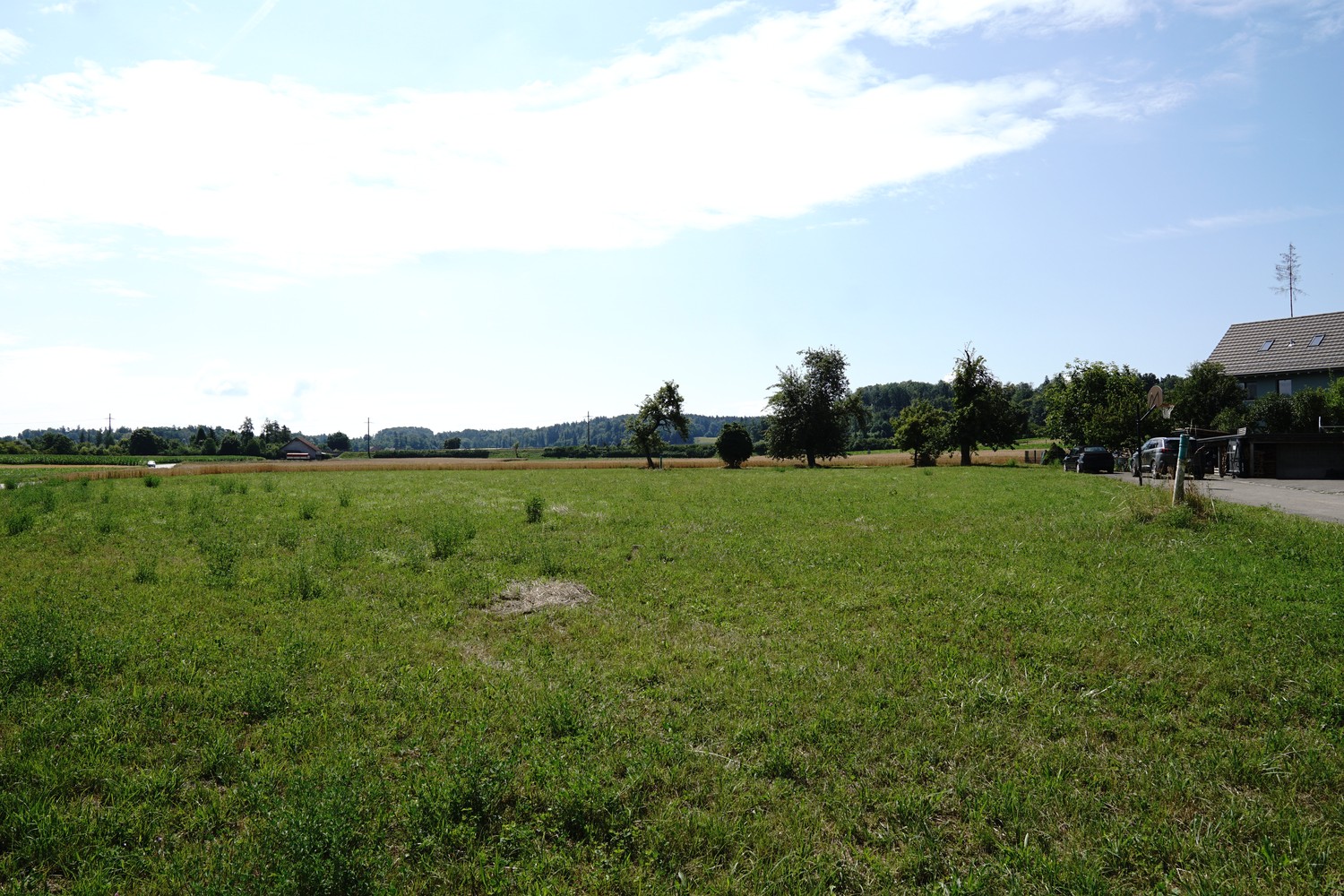 2580m² building land, Foto 4 von 6