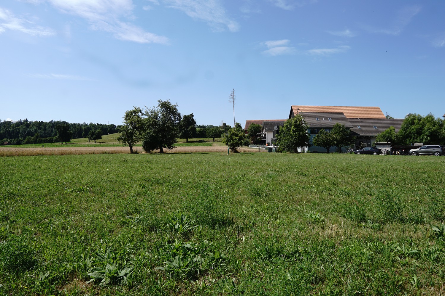 2580m² building land, Foto 1 von 6