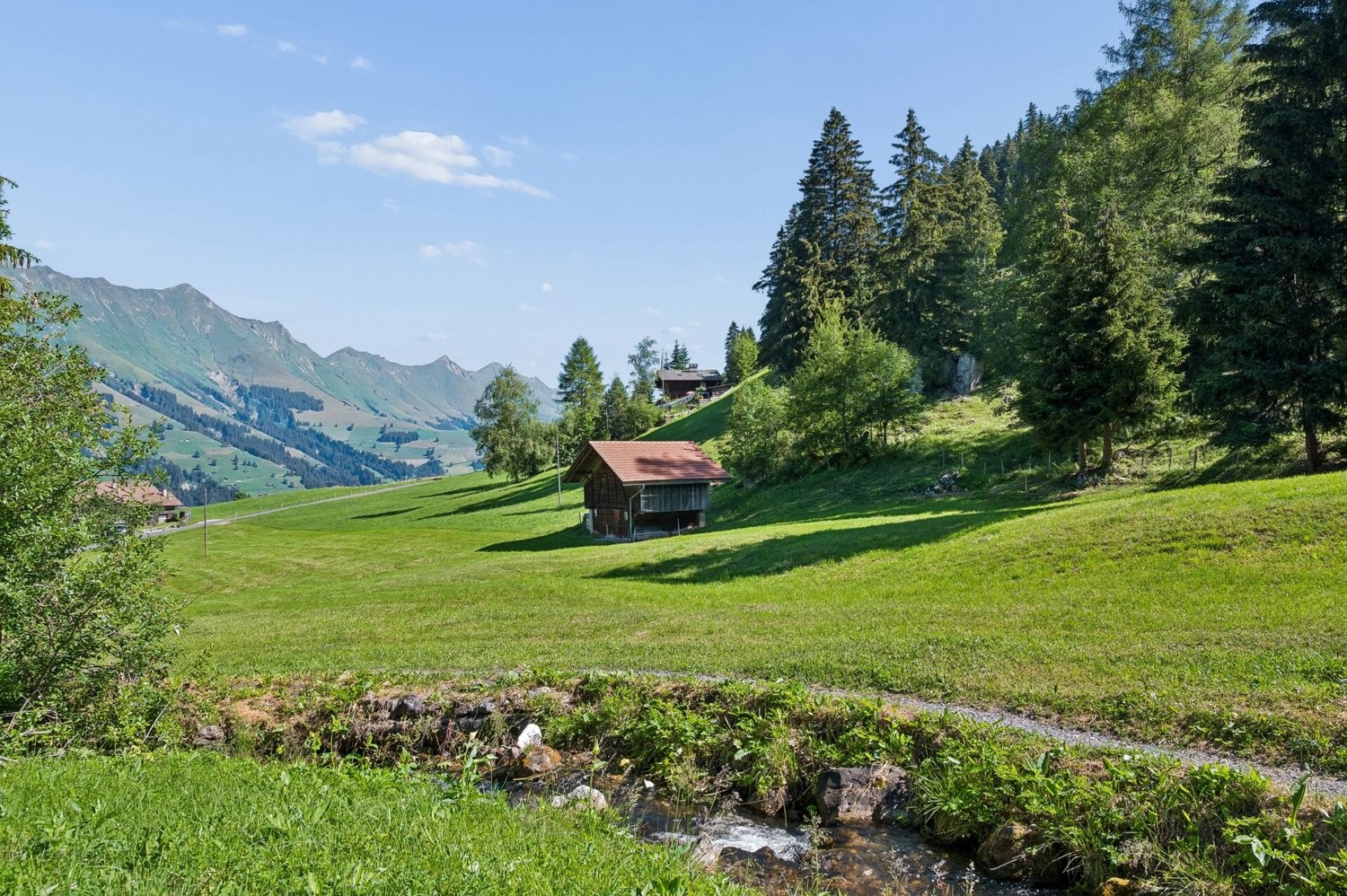 3768m² building land