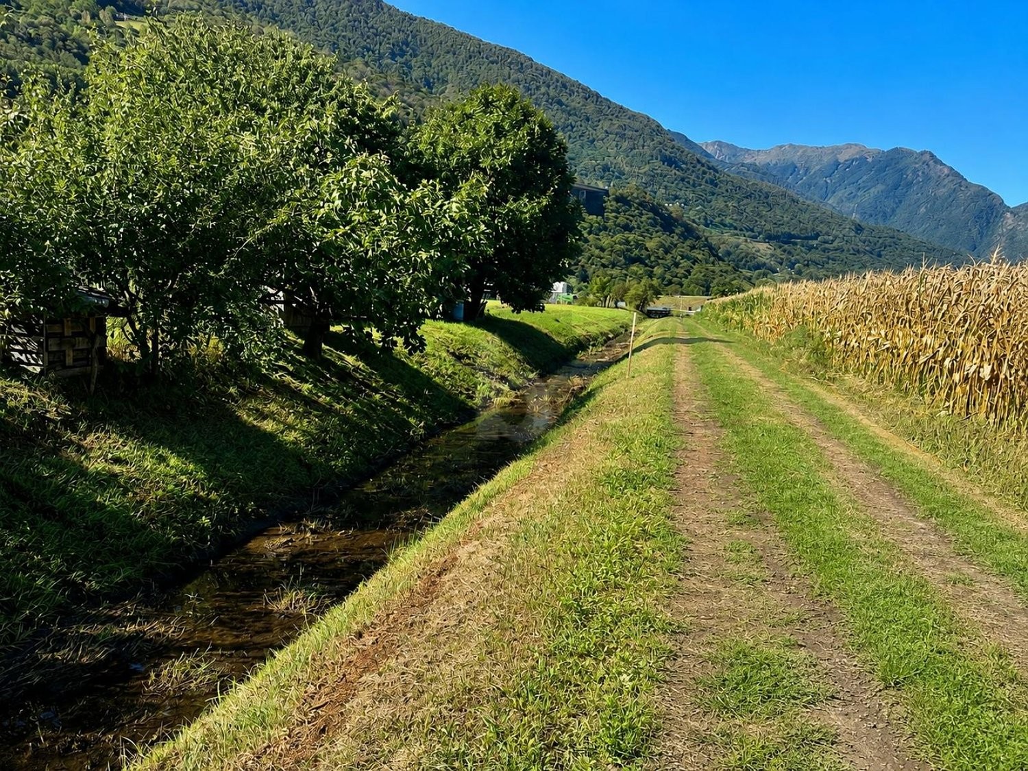 Terrain à bâtir de 818m²