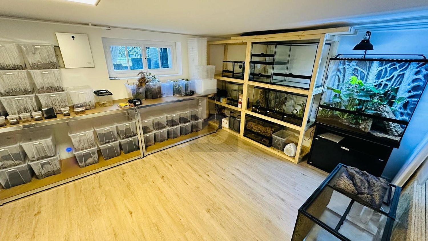 7 rooms single house