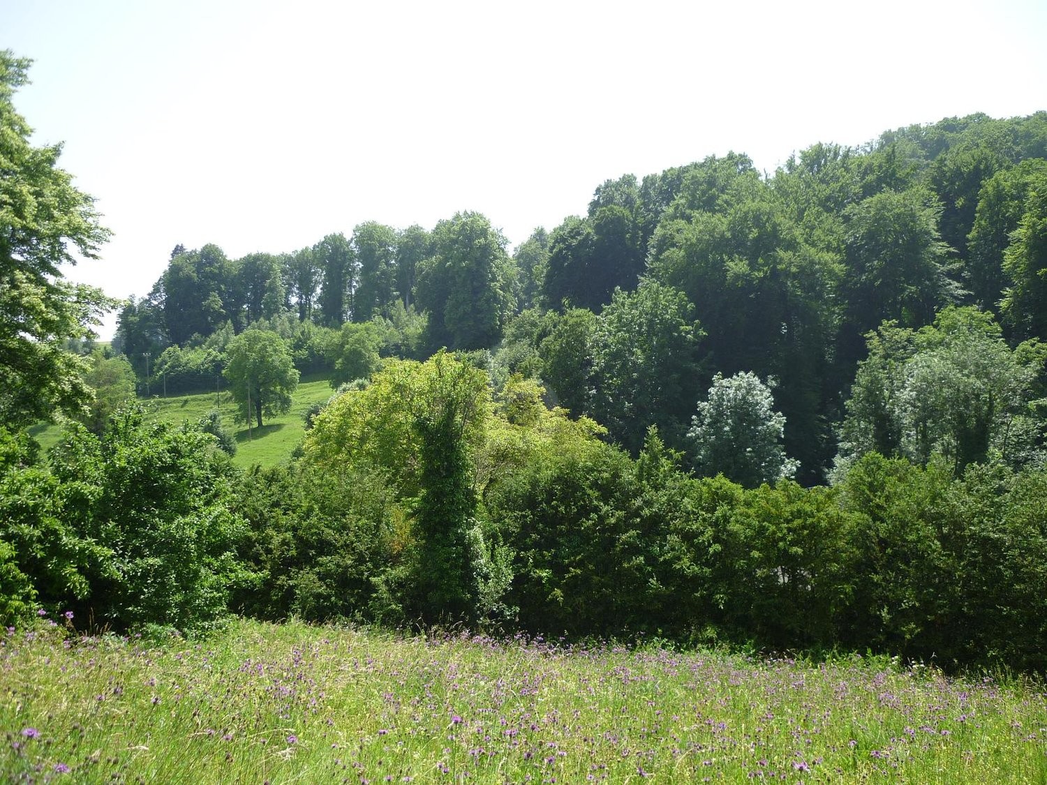 Appartamento di 3 ½ locali, foto 1 di 4
