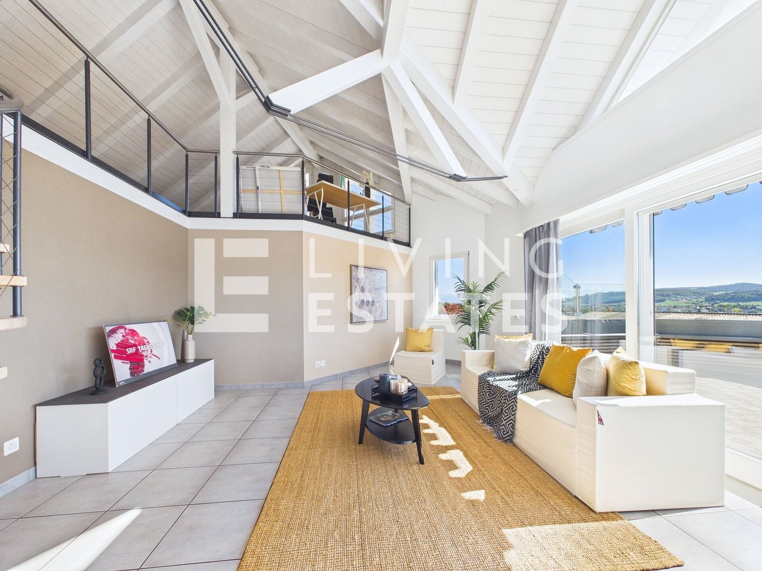 Maison individuelle de 9 ½ pièces, photo 4 sur 10