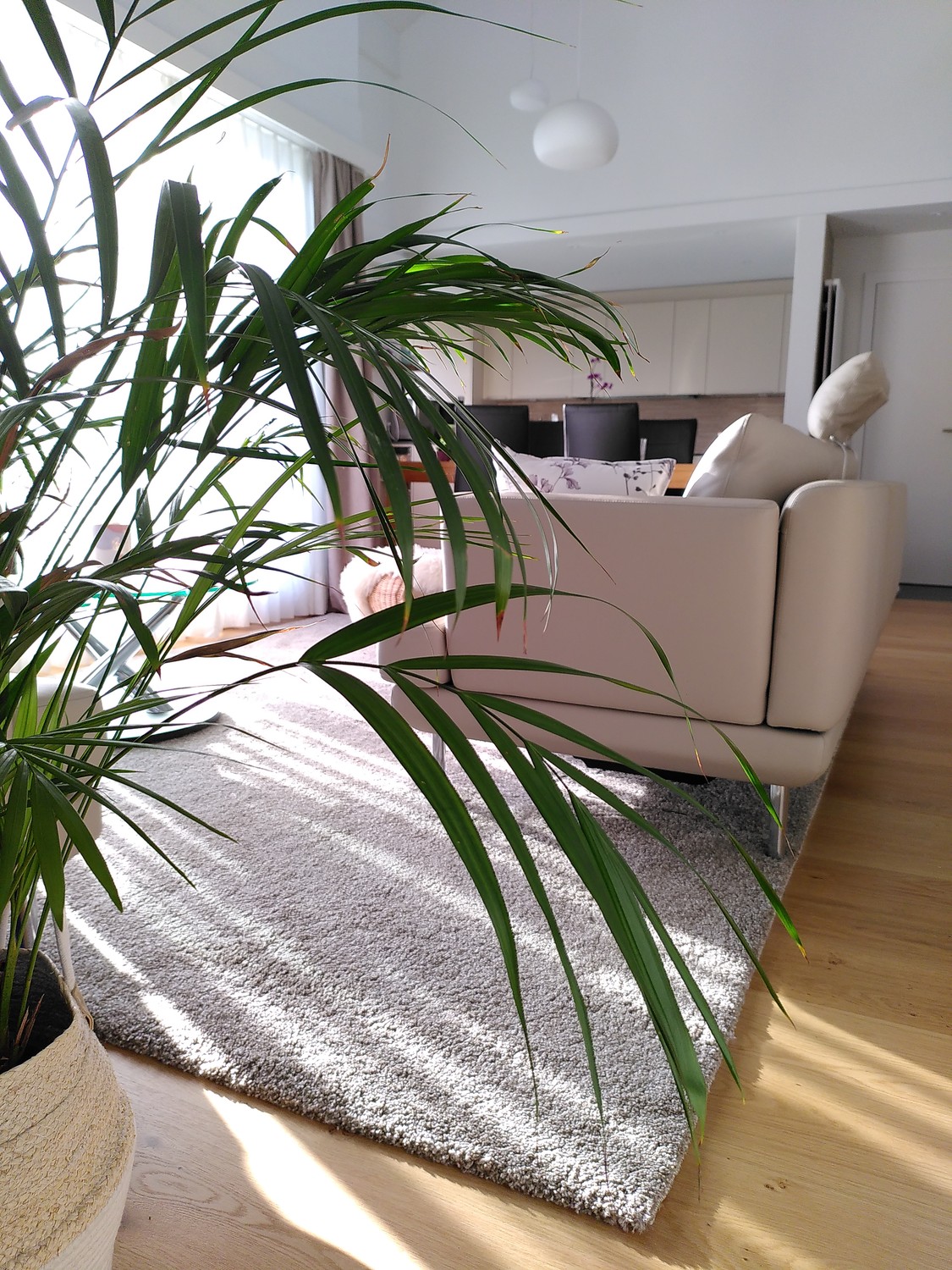 5 ½ rooms apartment, Foto 1 von 5