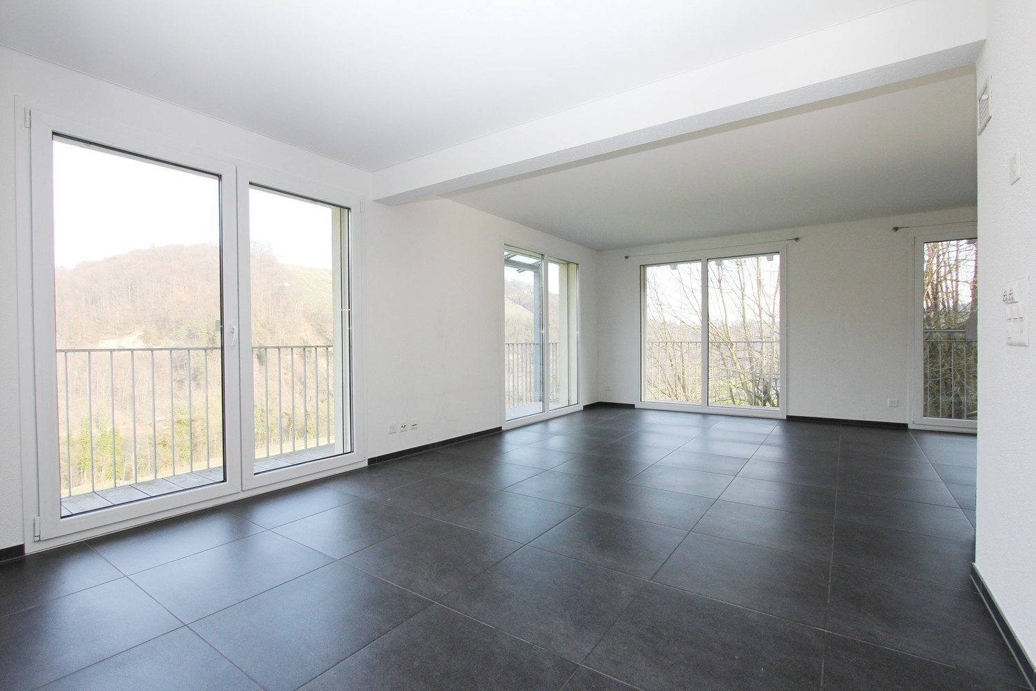 4 ½ rooms apartment