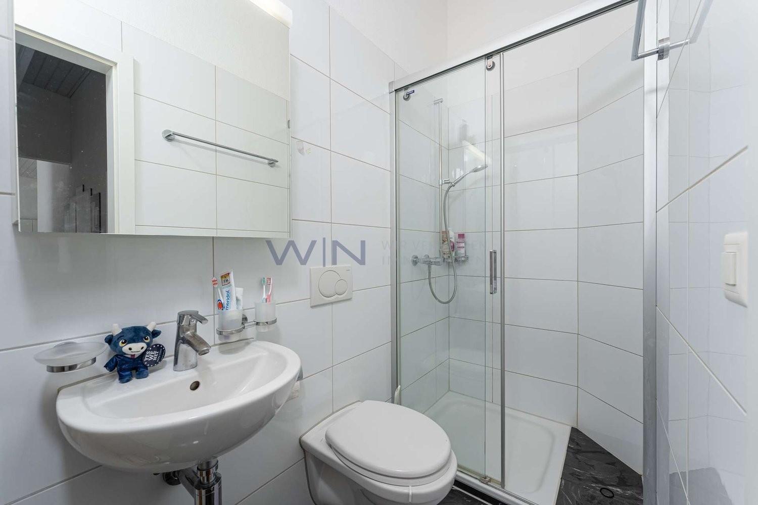 6 ½ rooms roof flat, Foto 10 von 10