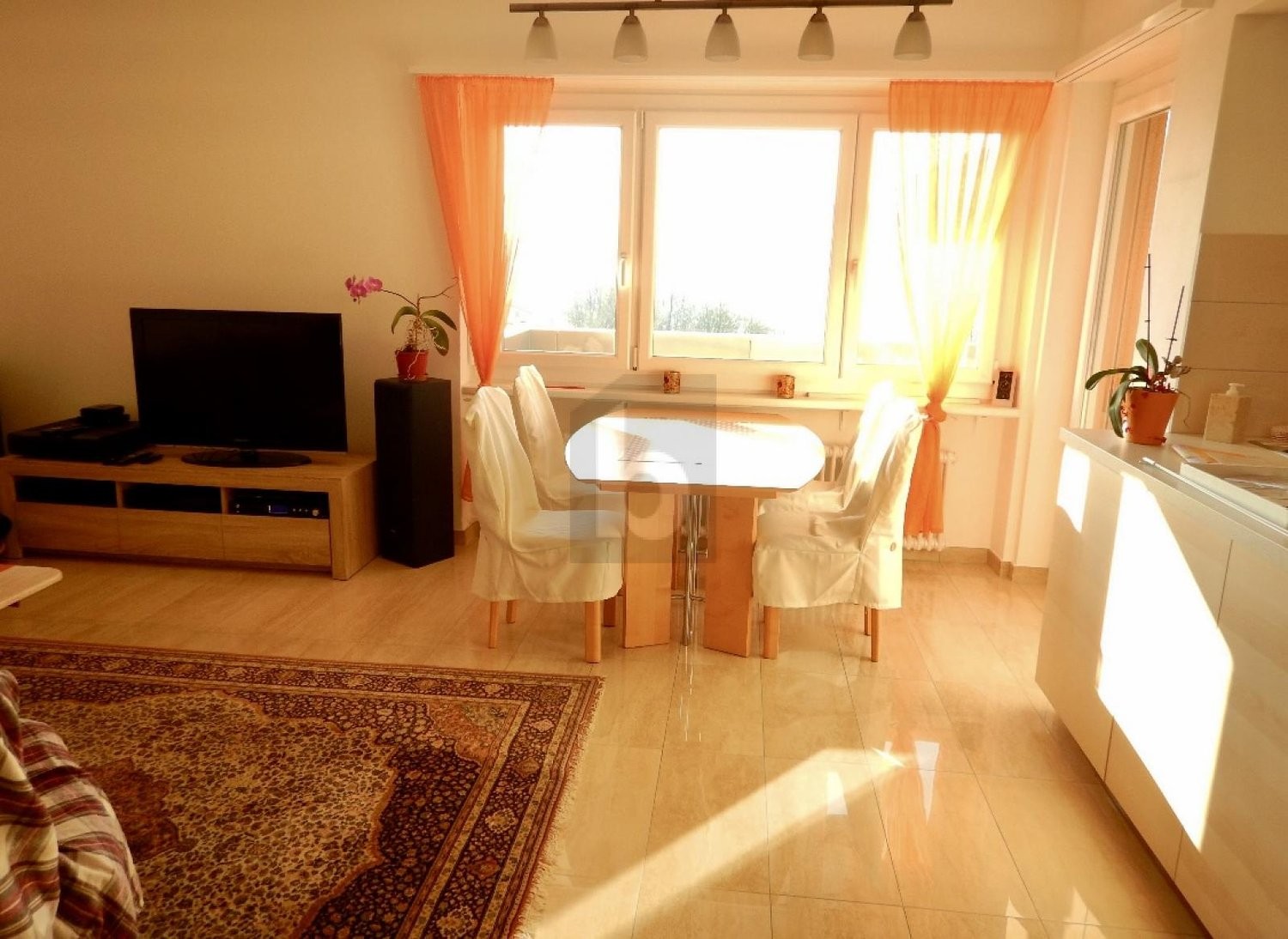 4 ½ Zimmer-Wohnung