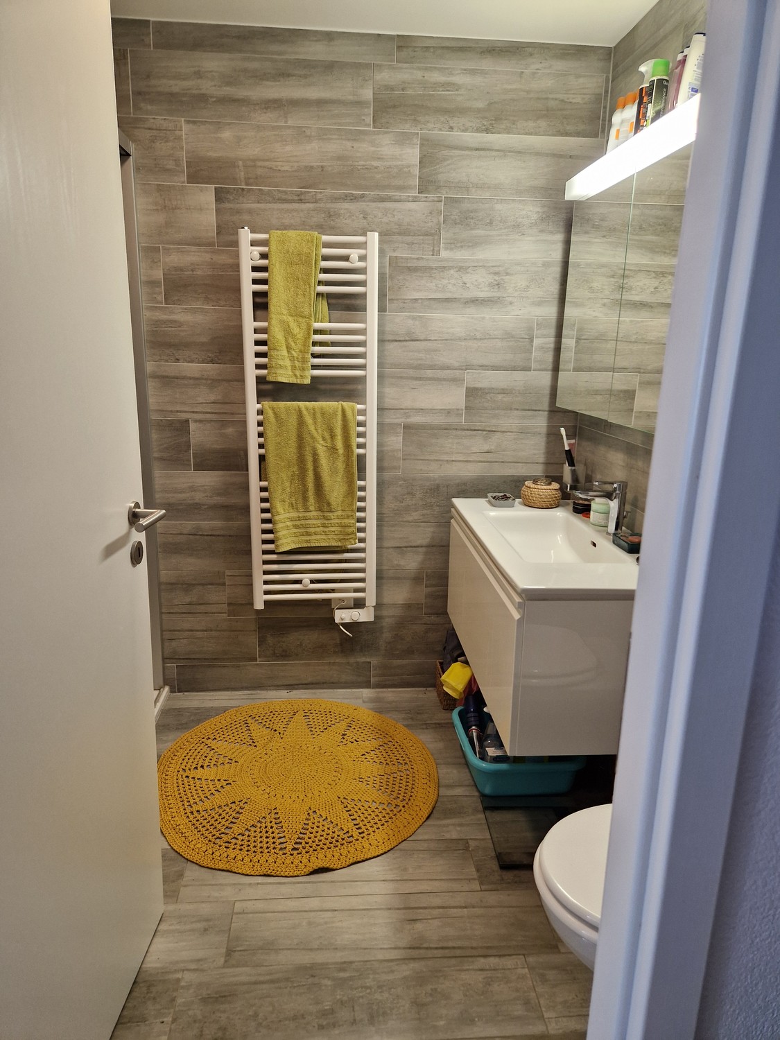 2 ½ Zimmer Wohnung