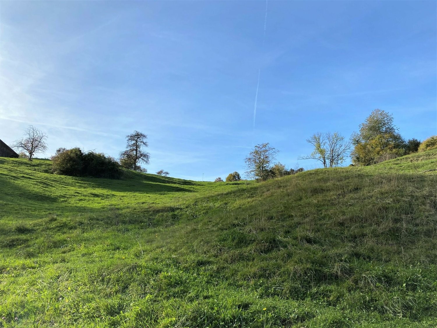 1958m² building land, Foto 10 von 10