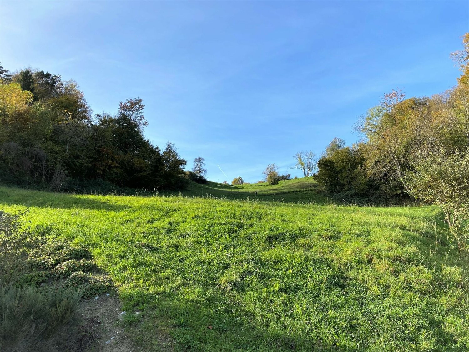 1958m² building land, Foto 9 von 10
