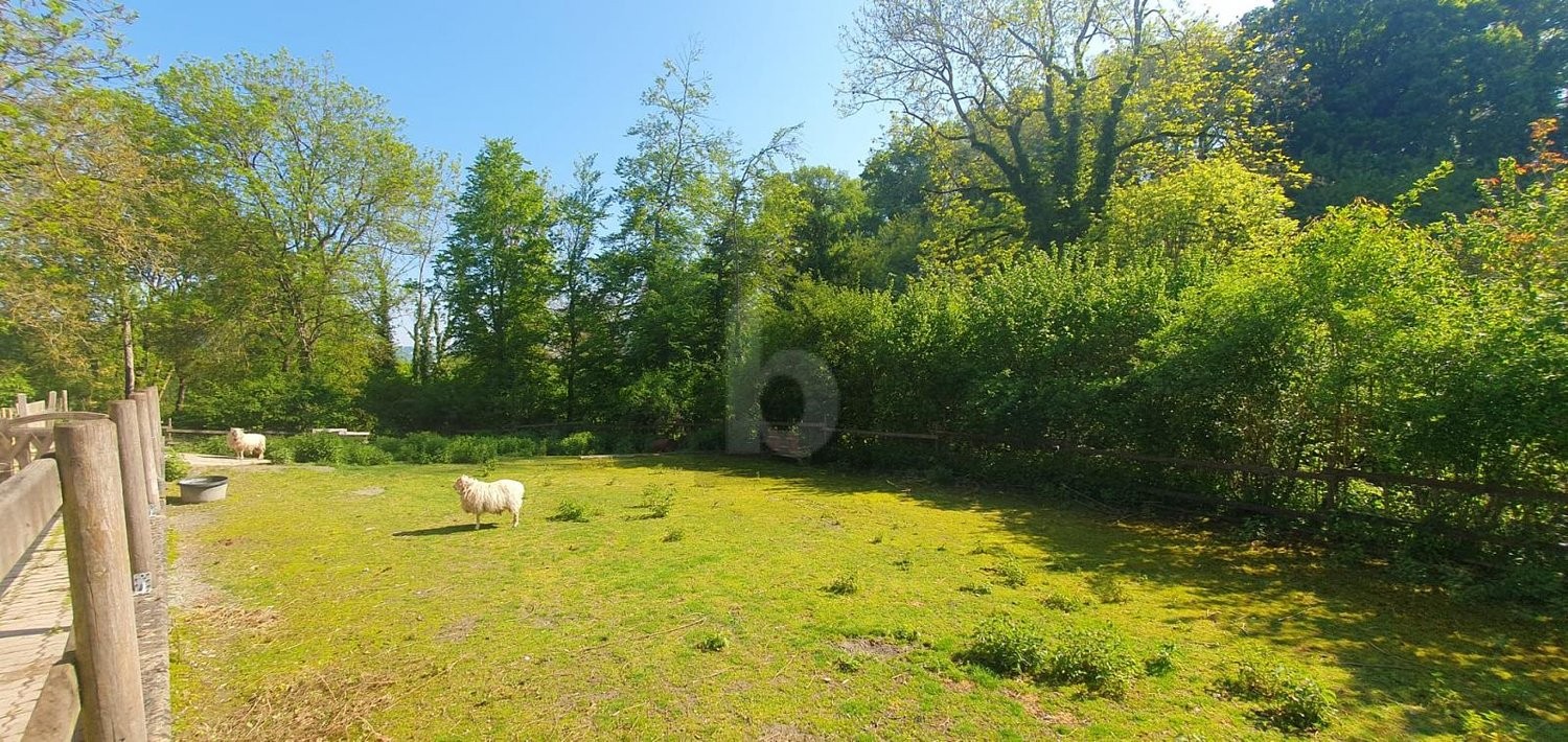 9 ½ Zimmer Einfamilienhaus, Foto 3 von 4