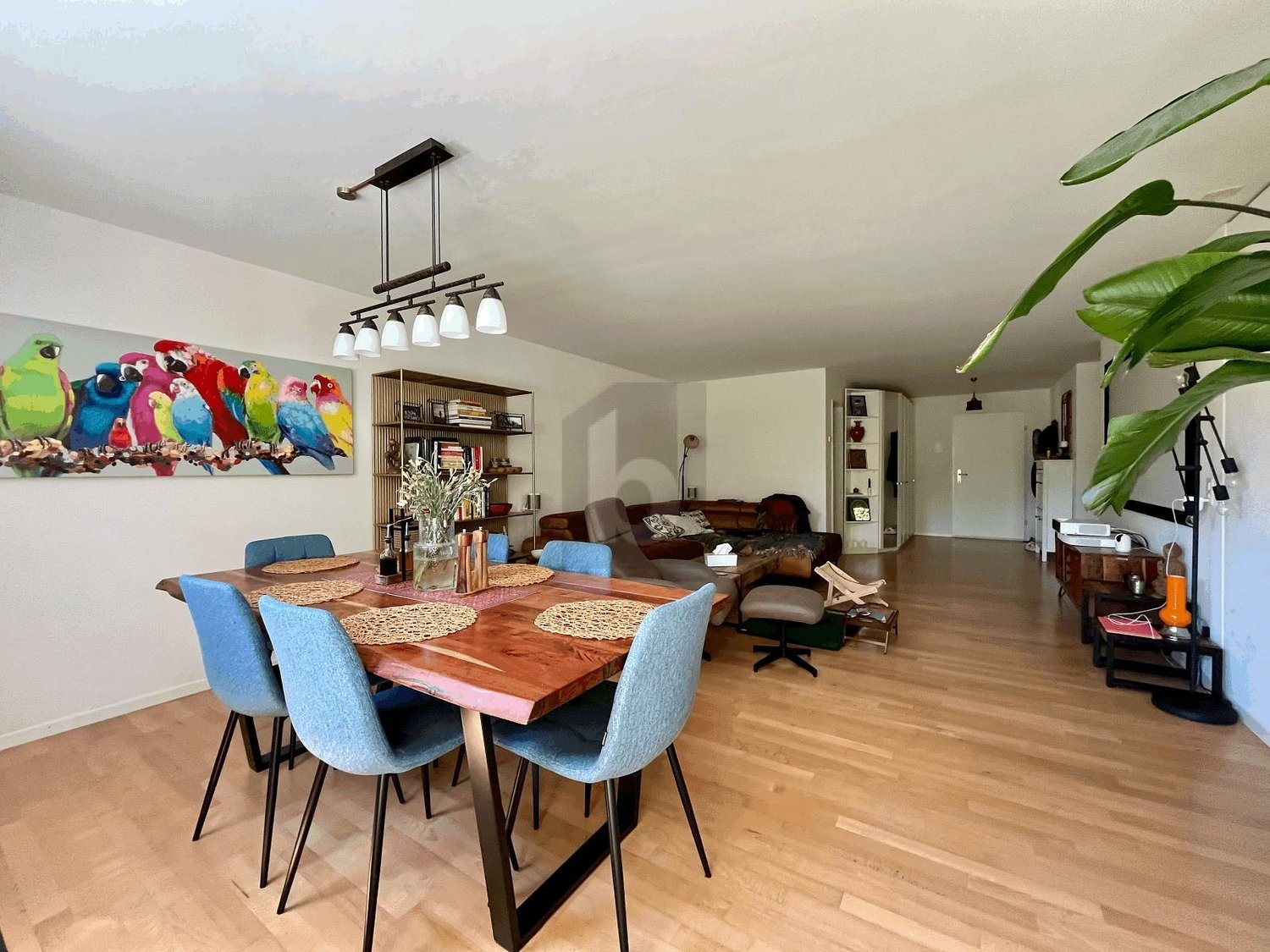 3 ½ rooms apartment