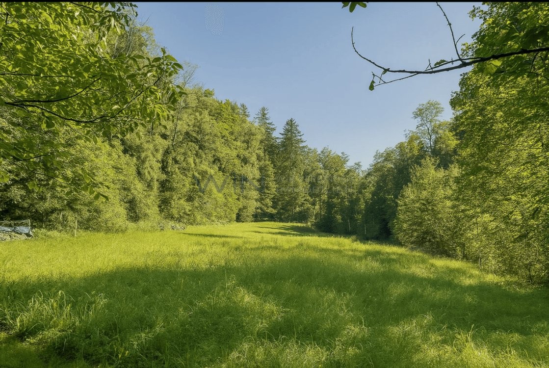 Propriété historique : Nature, calme & visions.

FAITS-WE
- Terrain de plus de 2?400 m2, forêt propre, au bord d'un ruisseau au murmure doux.
- Ferme rénovée à cœur avec 3 unités sans smog électromagnétique.
- Autonome grâce au bois de chauffage de sa propre forêt, poêle en faïence & installation PV, photo 4 sur 10