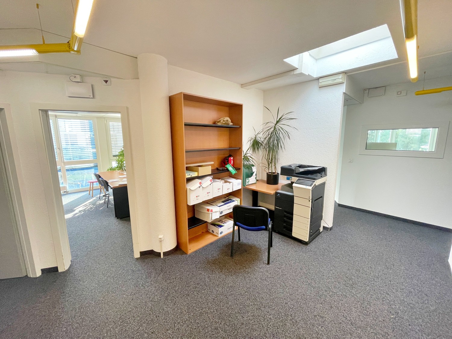 230m² Verkaufsfläche