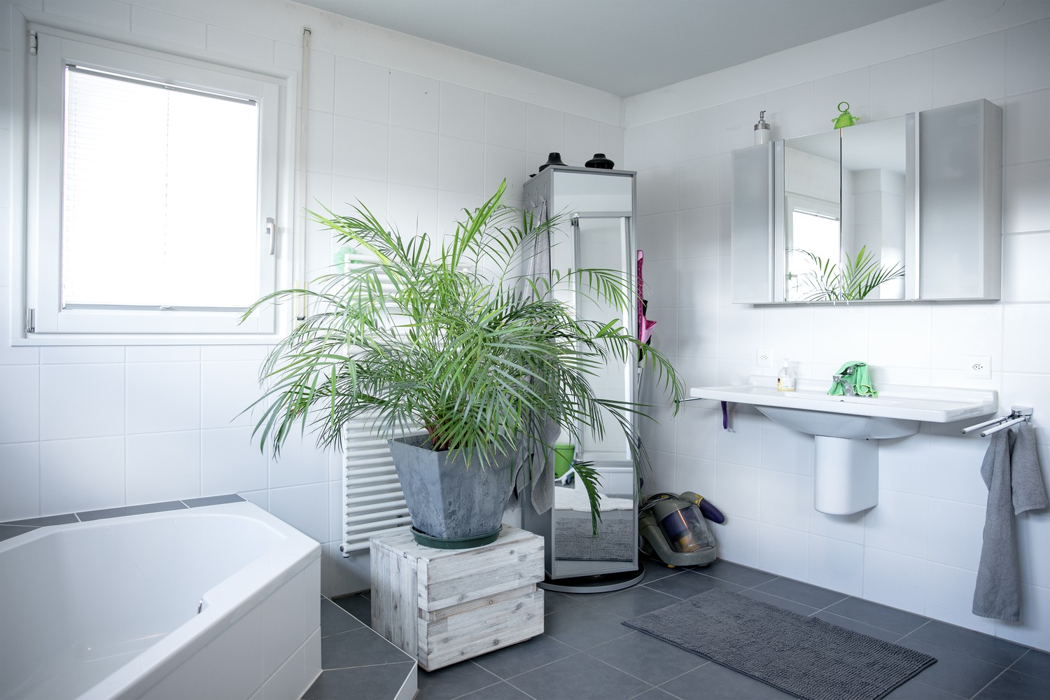 7 ½ rooms single house