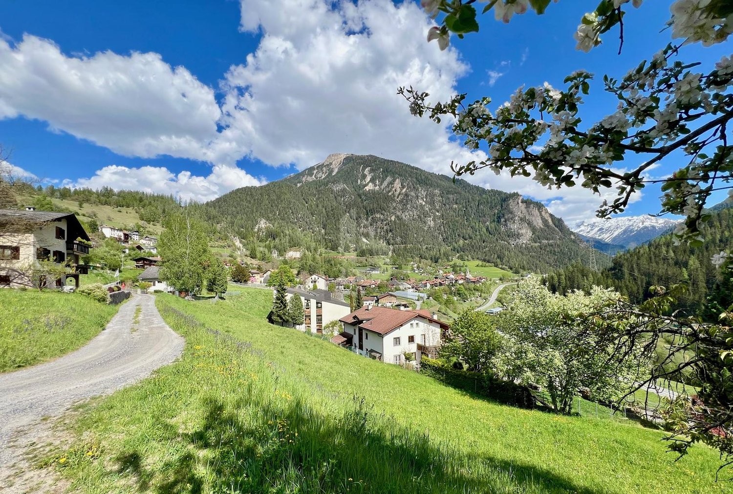 800m² building land
