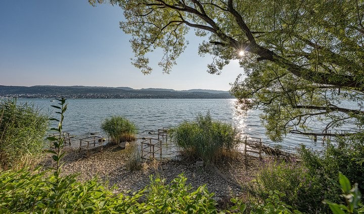 2180m² building land, Foto 8 von 8