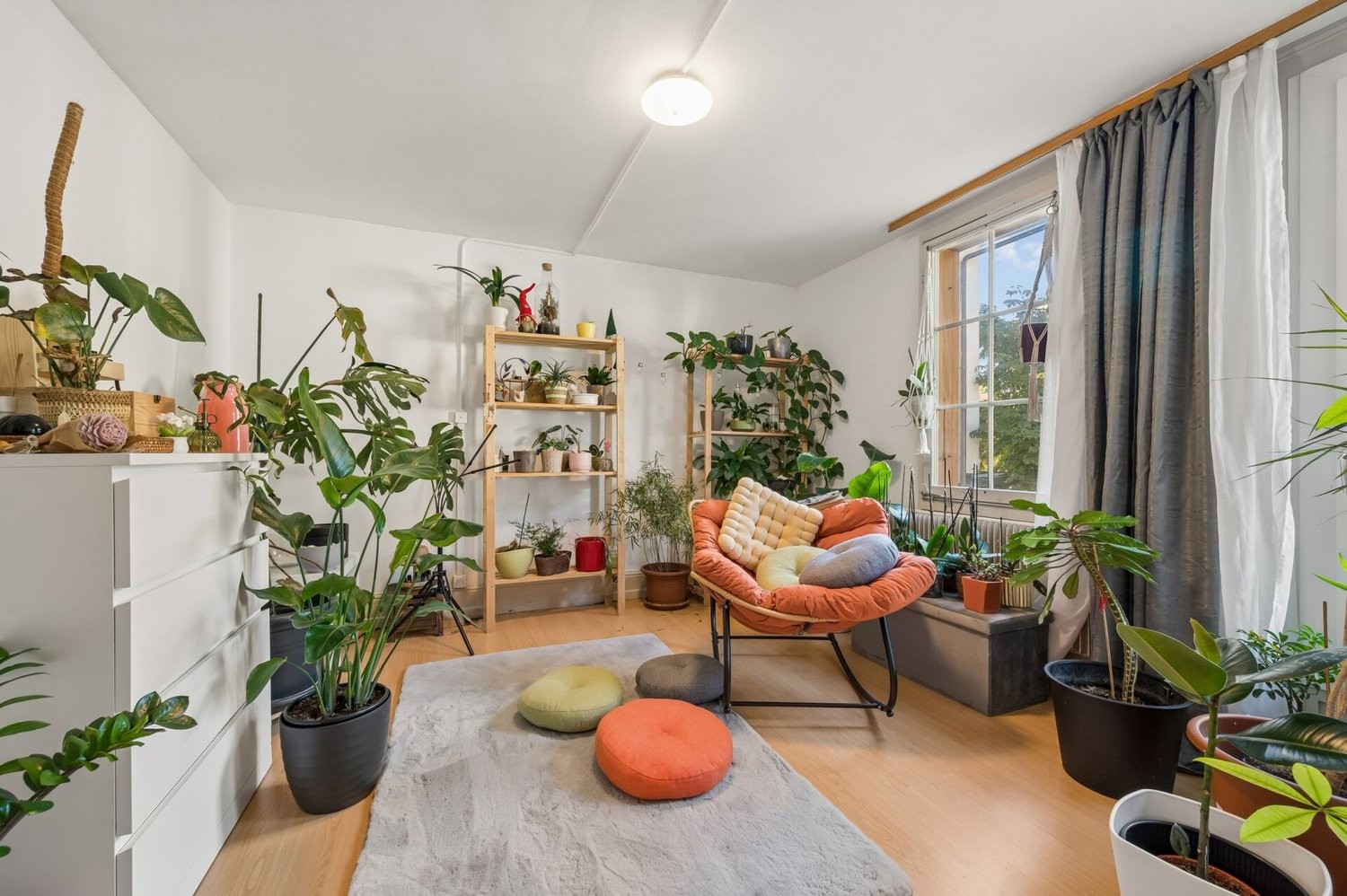 294m² living / commercial building, Foto 5 von 10